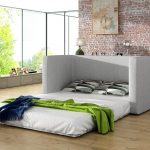 Sleep function1