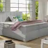 Sawana 21