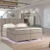 Dora 22