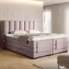 Gojo 101