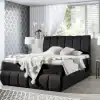 Sawana 14