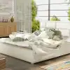 Soft 33