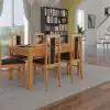 Jelša
